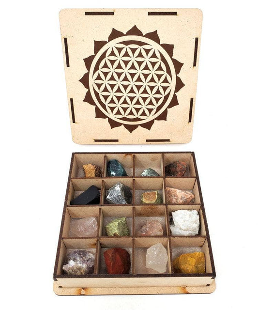 16 Gemstone Raw Tumble Gift Set w/ Wooden Box