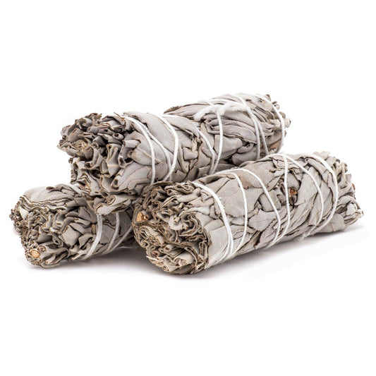 1000 White sage sticks 4" dry smudge sticks