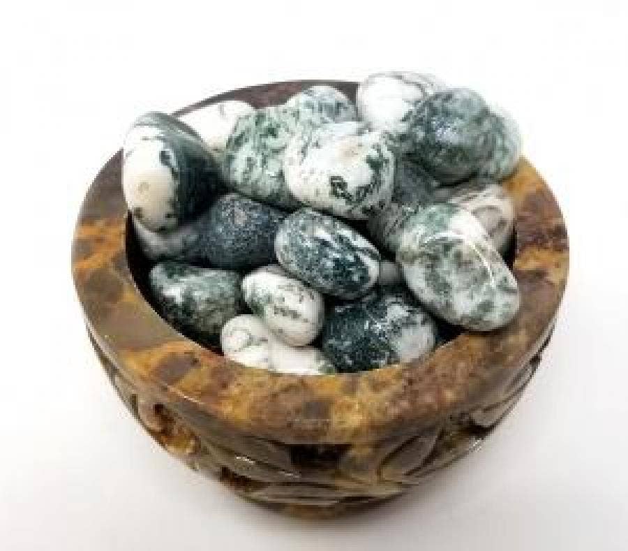 Tree Agate Tumbled Stone 1 Lb (Genuine Polished Gemstone)