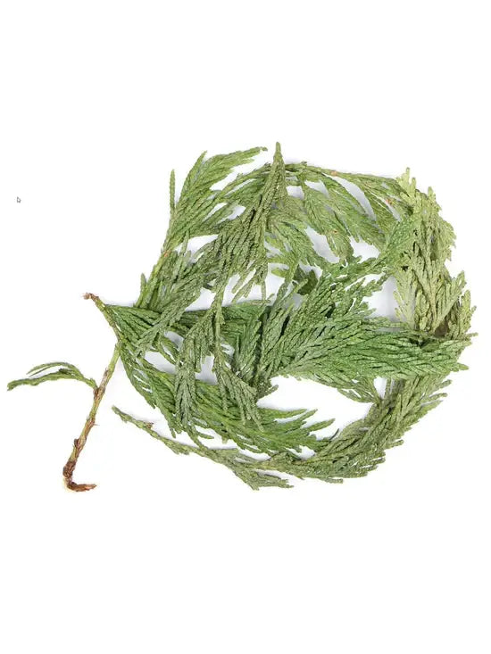 Cedar Loose Leaves & Clusters 1 LB