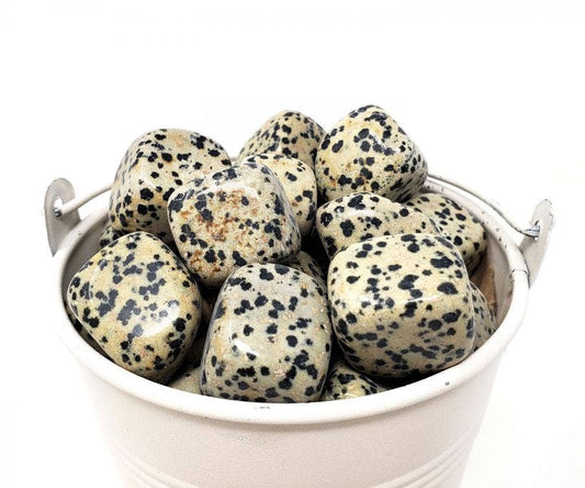 DALMATIAN Tumbled Stone 1 Lb (Genuine Polished Gemstone)