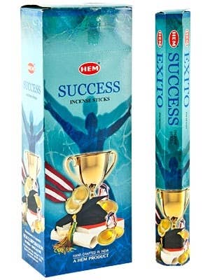 Hem Success Incense 120 Sticks